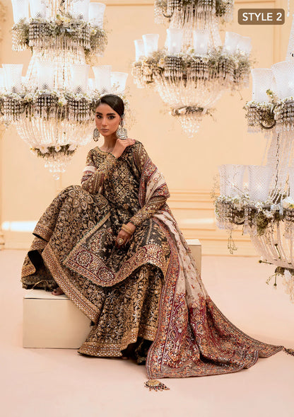 Luxurious organza ensemble with embellished front, intricate borders, jamawaar pants, embroidered net panels, and a tissue jaal dupatta. Styled as a long shirt with lehnga or gharara.