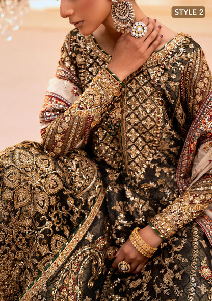 Luxurious organza ensemble with embellished front, intricate borders, jamawaar pants, embroidered net panels, and a tissue jaal dupatta. Styled as a long shirt with lehnga or gharara.