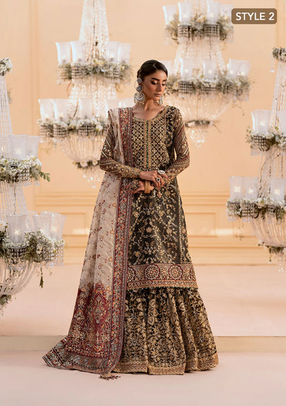 Luxurious organza ensemble with embellished front, intricate borders, jamawaar pants, embroidered net panels, and a tissue jaal dupatta. Styled as a long shirt with lehnga or gharara.