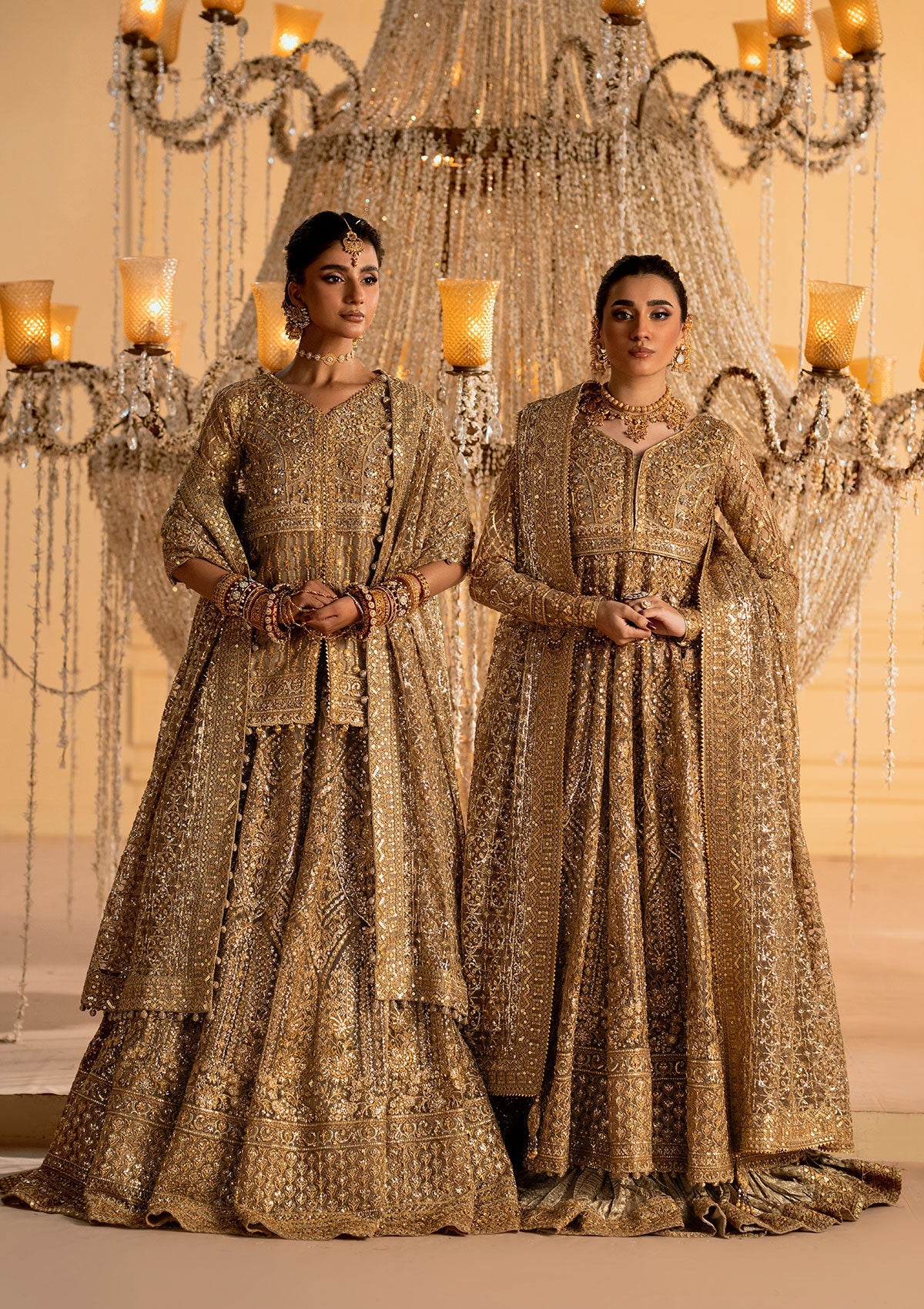 Exquisite embroidered net ensemble with embellished bodice, organza borders, jamawaar pants, and an embroidered net dupatta. Styled as kalidar with crushed skirt or kurti with lehnga.