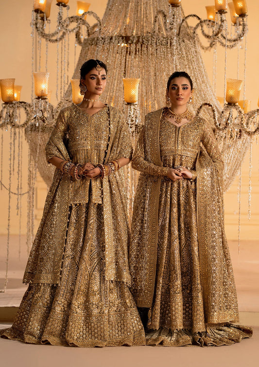 Exquisite embroidered net ensemble with embellished bodice, organza borders, jamawaar pants, and an embroidered net dupatta. Styled as kalidar with crushed skirt or kurti with lehnga.
