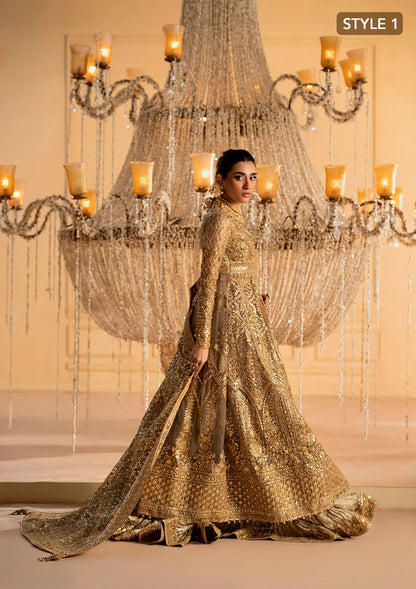Exquisite embroidered net ensemble with embellished bodice, organza borders, jamawaar pants, and an embroidered net dupatta. Styled as kalidar with crushed skirt or kurti with lehnga.