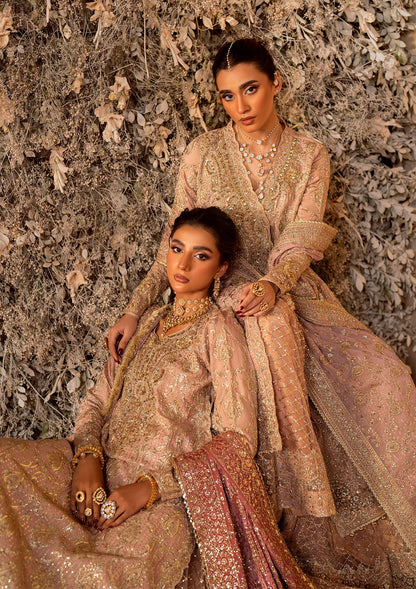 Elegant khaadi net ensemble with embellished organza neckline, detailed borders, masoori silk pants, and chiffon dupatta. Styled as angrakha with gharara or side-slit long shirt with crushed frock.