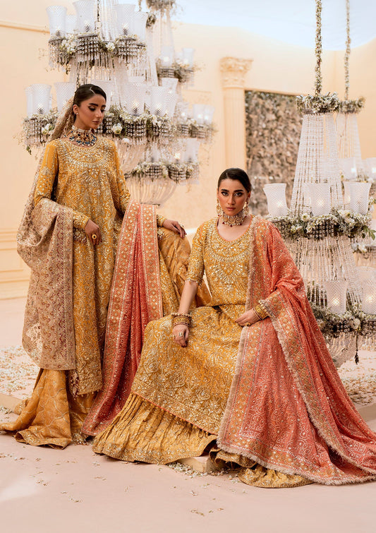 Graceful khaadi net ensemble with embellished organza neckline, embroidered jamawaar pants, and a chiffon dupatta. Styled with farshi gharara or crushed sharara for festive elegance.