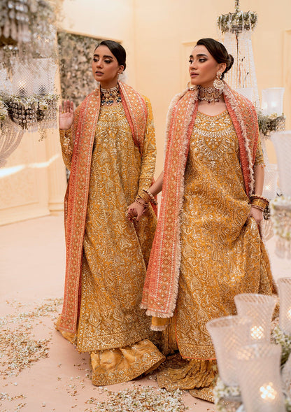 Graceful khaadi net ensemble with embellished organza neckline, embroidered jamawaar pants, and a chiffon dupatta. Styled with farshi gharara or crushed sharara for festive elegance.