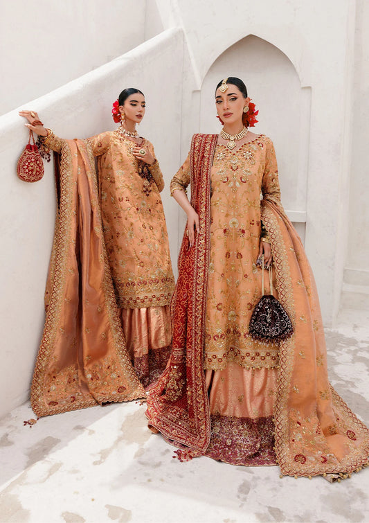 Luxurious tissue ensemble with rich embroidery, embellished borders, jamawar pants, and an embroidered tissue dupatta. Styled as a long shirt with farshi gharara or elegant skirt.