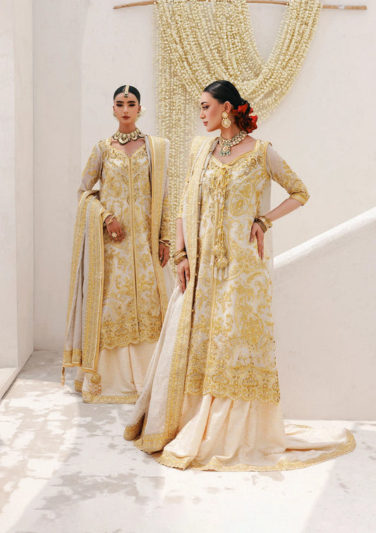 Regal khaadi net ensemble with embellished panels, organza borders, jamawar pants, and embroidered dupatta. Styled as Hyderabadi shirt with farshi gharara or long shirt with sharara.

