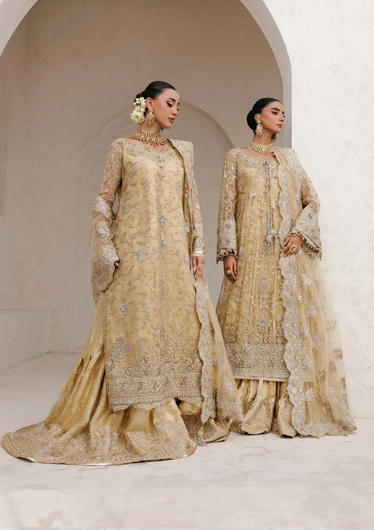 Elegant embroidered net ensemble with tissue neckline, rich borders, jamawar pants, and an embroidered net dupatta. Styled as a long shirt with farshi gharara or side-slit long shirt with crushed frock.