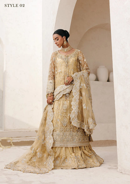 Elegant embroidered net ensemble with tissue neckline, rich borders, jamawar pants, and an embroidered net dupatta. Styled as a long shirt with farshi gharara or side-slit long shirt with crushed frock.