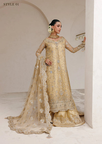 Elegant embroidered net ensemble with tissue neckline, rich borders, jamawar pants, and an embroidered net dupatta. Styled as a long shirt with farshi gharara or side-slit long shirt with crushed frock.