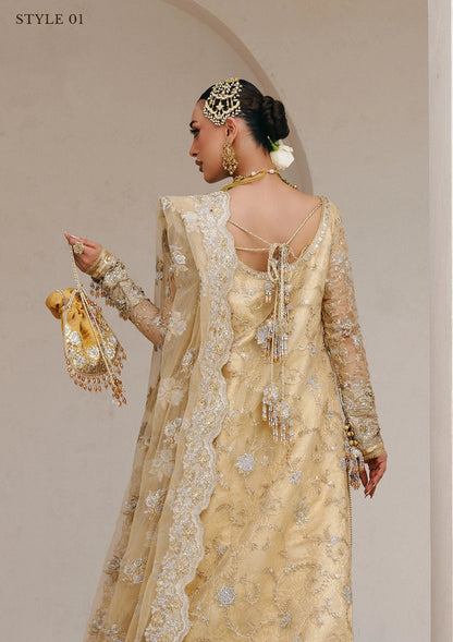 Elegant embroidered net ensemble with tissue neckline, rich borders, jamawar pants, and an embroidered net dupatta. Styled as a long shirt with farshi gharara or side-slit long shirt with crushed frock.