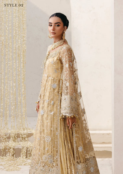 Elegant embroidered net ensemble with tissue neckline, rich borders, jamawar pants, and an embroidered net dupatta. Styled as a long shirt with farshi gharara or side-slit long shirt with crushed frock.