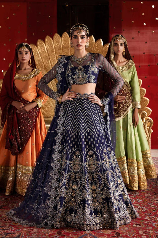 Exquisite net & organza outfit with embellished panels, blouse, sleeves, dupatta, belt & borders—crafted for timeless elegance and luxury style.