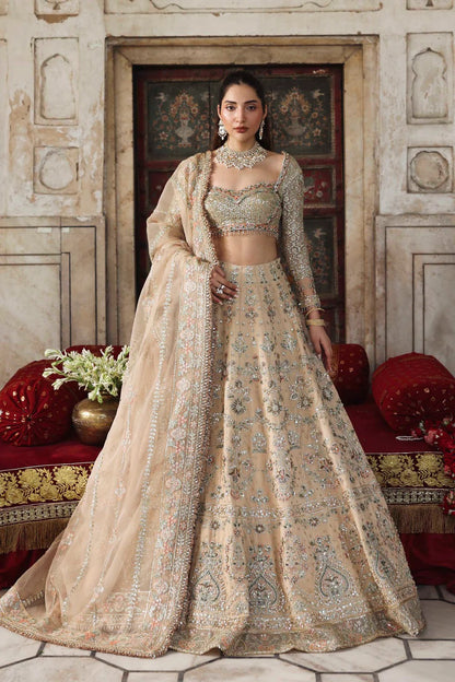 A graceful net outfit featuring hand-embellished panels, blouse, and sleeves, paired with an embroidered organza dupatta for a luxurious formal look.