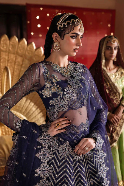 Exquisite net & organza outfit with embellished panels, blouse, sleeves, dupatta, belt & borders—crafted for timeless elegance and luxury style.