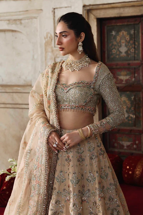 A graceful net outfit featuring hand-embellished panels, blouse, and sleeves, paired with an embroidered organza dupatta for a luxurious formal look.