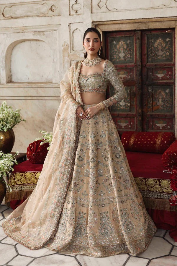 A graceful net outfit featuring hand-embellished panels, blouse, and sleeves, paired with an embroidered organza dupatta for a luxurious formal look.