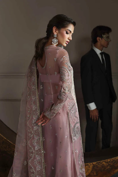Elegant organza dress with embroidered panels, back, sleeves & dupatta, paired with silk inner and trouser—crafted for timeless charm and style.