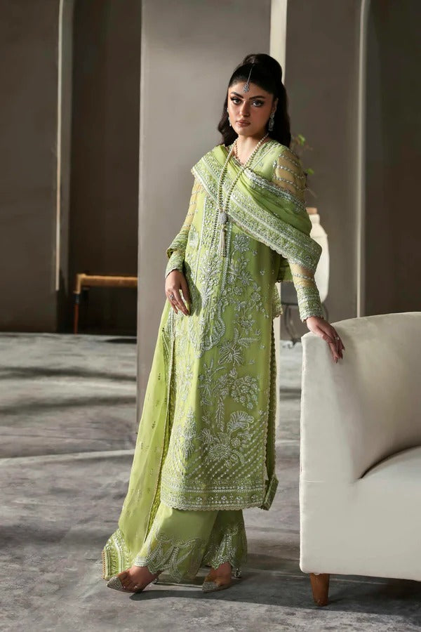 A graceful chiffon dress with intricate embroidery on front, back, and dupatta. Finished with organza borders and a raw silk trouser for a refined look.