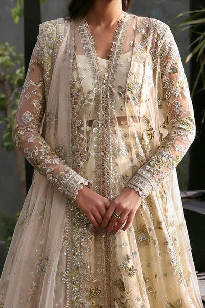 Elegant off white net suit with embroidered panels, apple green dupatta borders, and raw silk trouser for a refined festive and formal look.