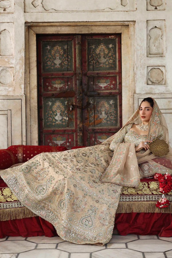 A graceful net outfit featuring hand-embellished panels, blouse, and sleeves, paired with an embroidered organza dupatta for a luxurious formal look.