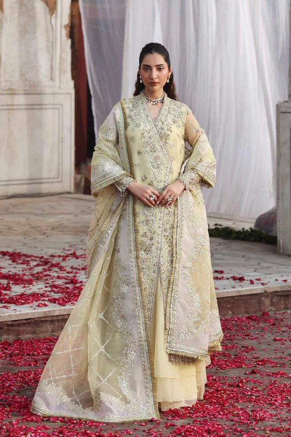 Luxurious organza outfit with hand-embellished panels, embroidered sleeves, dupatta, and dyed sharara — a perfect choice for elegant formal occasions.