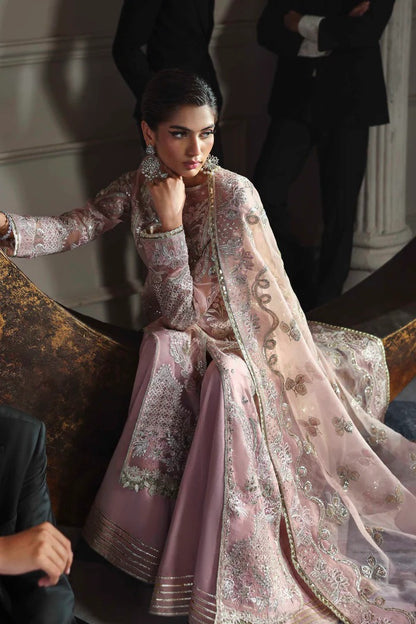 Elegant organza dress with embroidered panels, back, sleeves & dupatta, paired with silk inner and trouser—crafted for timeless charm and style.