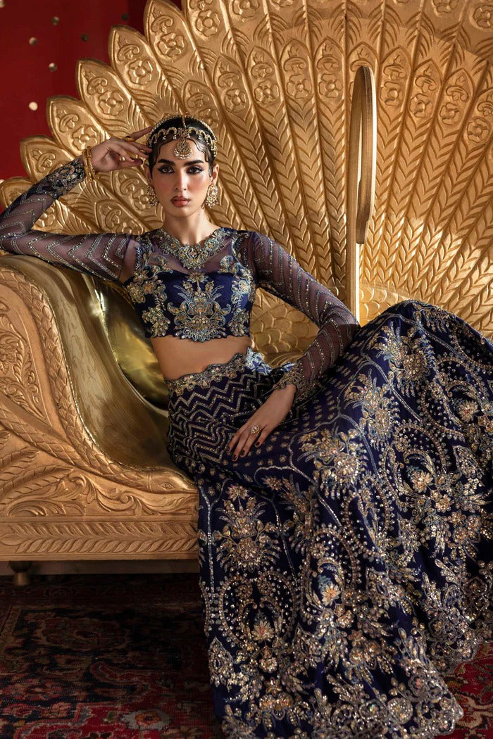 Exquisite net & organza outfit with embellished panels, blouse, sleeves, dupatta, belt & borders—crafted for timeless elegance and luxury style.