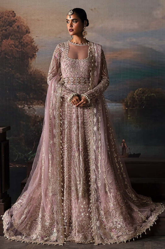 Luxurious net suit with embroidered panels, embellished sleeves, organza dupatta motifs, and raw silk trouser — a perfect festive ensemble.