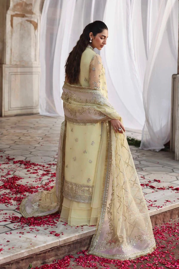 Luxurious organza outfit with hand-embellished panels, embroidered sleeves, dupatta, and dyed sharara — a perfect choice for elegant formal occasions.