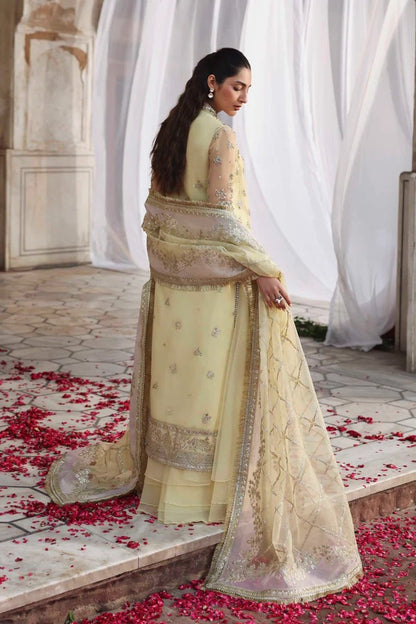 Luxurious organza outfit with hand-embellished panels, embroidered sleeves, dupatta, and dyed sharara — a perfect choice for elegant formal occasions.