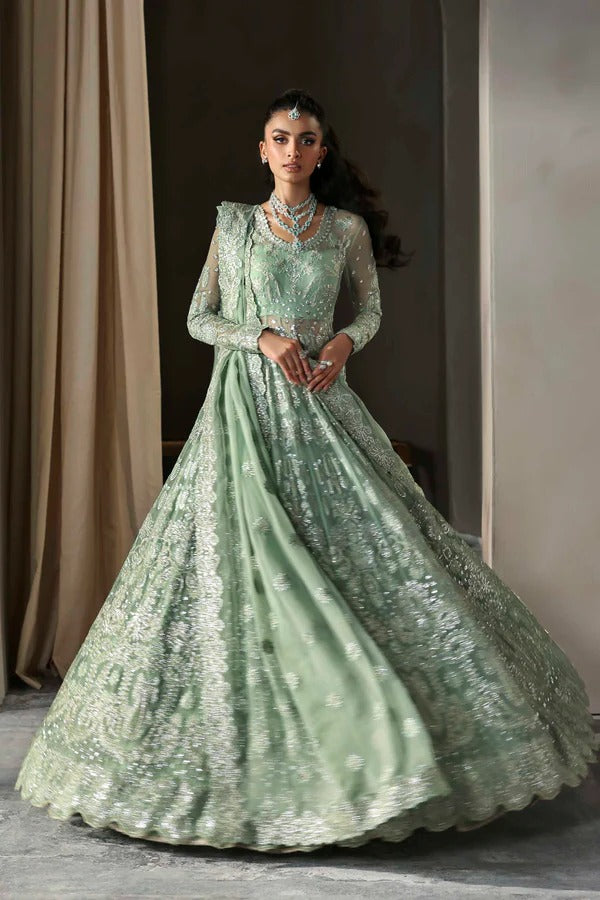 Elegant chiffon outfit featuring embroidered panels, sleeves, and dupatta with organza borders, paired with a luxurious raw silk inner for timeless grace.