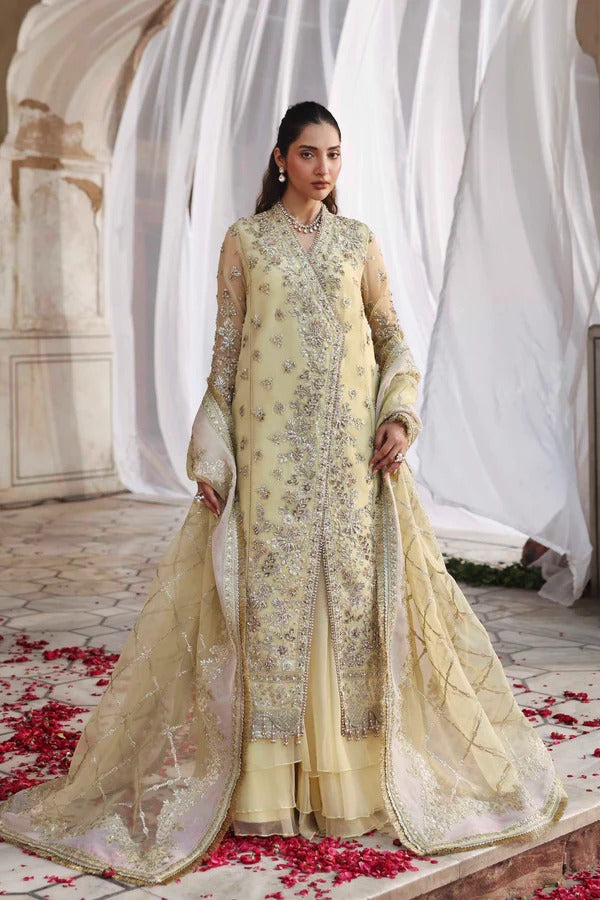 Luxurious organza outfit with hand-embellished panels, embroidered sleeves, dupatta, and dyed sharara — a perfect choice for elegant formal occasions.