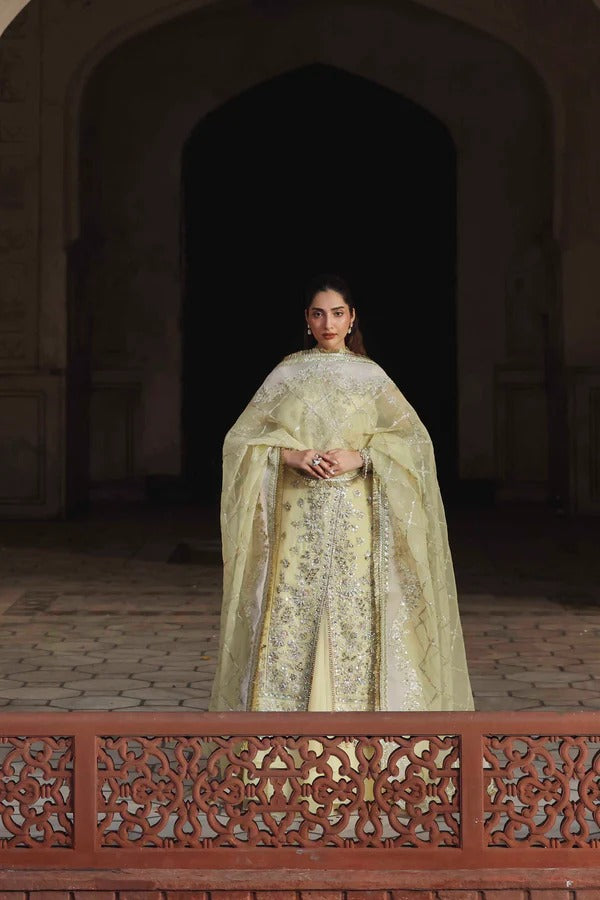 Luxurious organza outfit with hand-embellished panels, embroidered sleeves, dupatta, and dyed sharara — a perfect choice for elegant formal occasions.