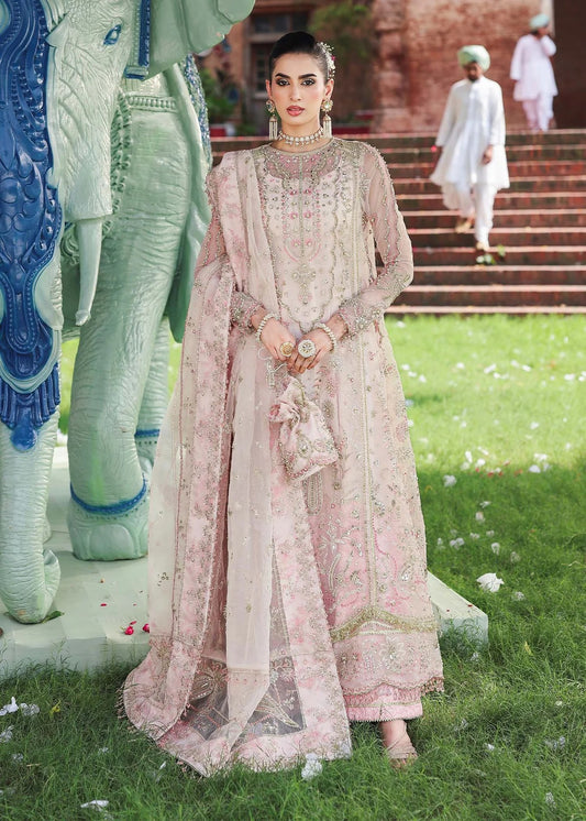 Elevate your style with this light pink organza outfit featuring hand-embroidered panels, dupatta with pallu border, and printed raw silk trouser for a refined look.
