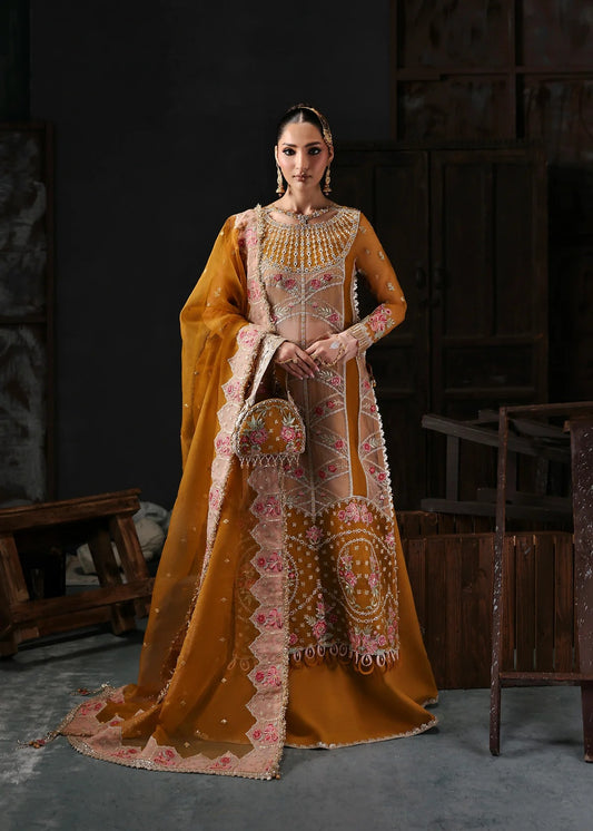 Chic mustard organza suit with applique front, embroidered neckline, dupatta with 4-side border, and raw silk trouser — perfect for festive wear.