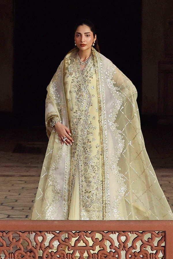 Luxurious organza outfit with hand-embellished panels, embroidered sleeves, dupatta, and dyed sharara — a perfect choice for elegant formal occasions.