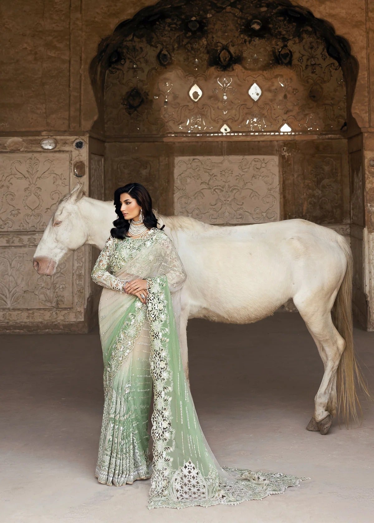 Stunning chiffon saree with gradient embroidery, diamante detailing, cutwork organza blouse with 3D flowers, and raw silk petticoat — perfect for weddings.