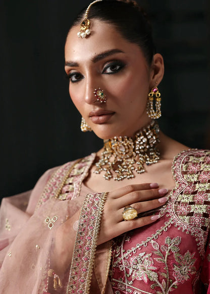 Chic rose pink organza suit with applique panels, cutwork neckline, embroidered dupatta, raw silk trouser, and elegant borders for a timeless festive look.