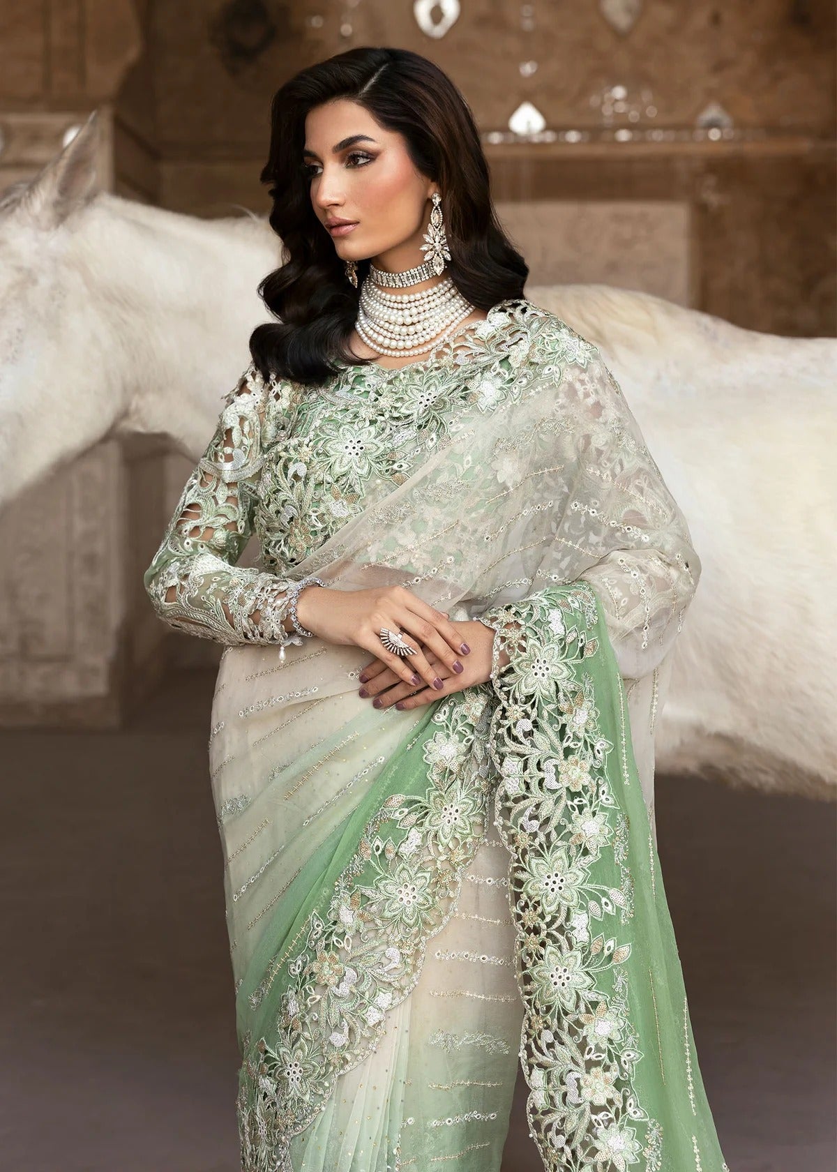Stunning chiffon saree with gradient embroidery, diamante detailing, cutwork organza blouse with 3D flowers, and raw silk petticoat — perfect for weddings.