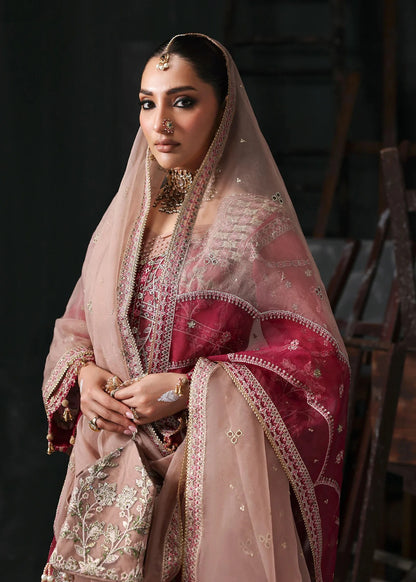 Chic rose pink organza suit with applique panels, cutwork neckline, embroidered dupatta, raw silk trouser, and elegant borders for a timeless festive look.