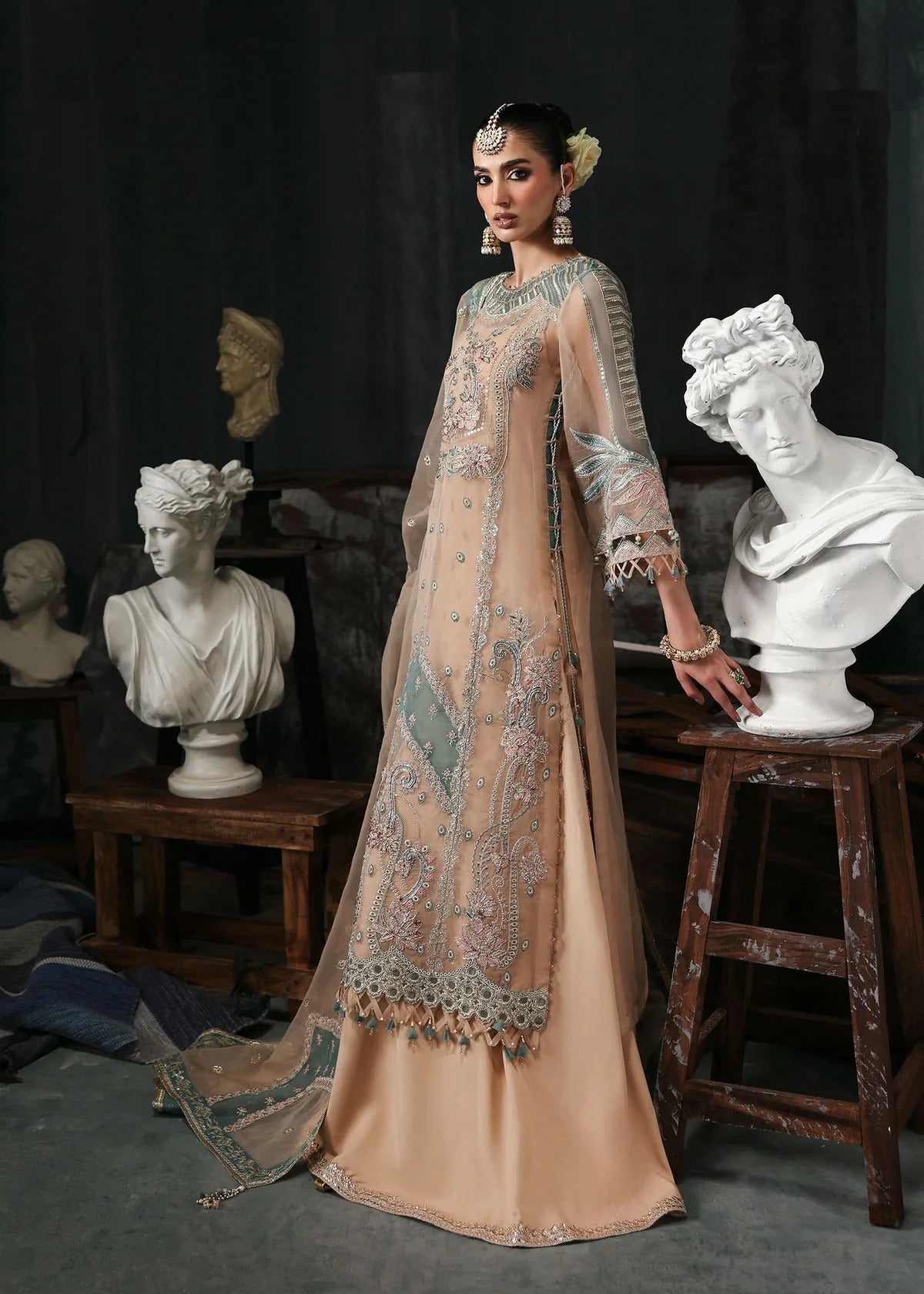 Elegant pale pink organza suit with dori work panels, applique neckline, embroidered dupatta, and raw silk trouser — perfect for festive occasions.