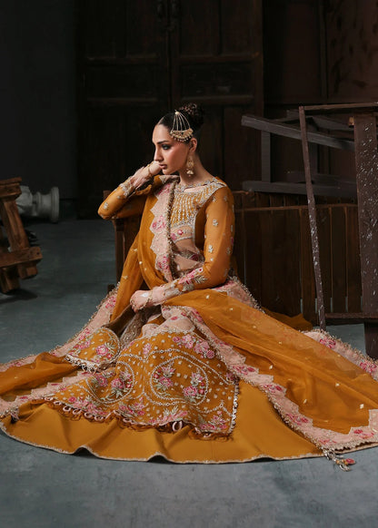 Chic mustard organza suit with applique front, embroidered neckline, dupatta with 4-side border, and raw silk trouser — perfect for festive wear.