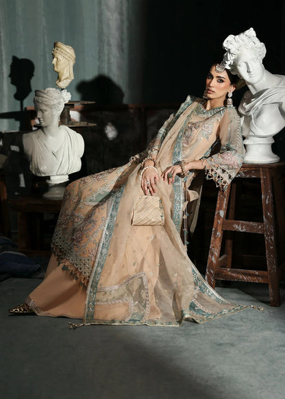 Elegant pale pink organza suit with dori work panels, applique neckline, embroidered dupatta, and raw silk trouser — perfect for festive occasions.