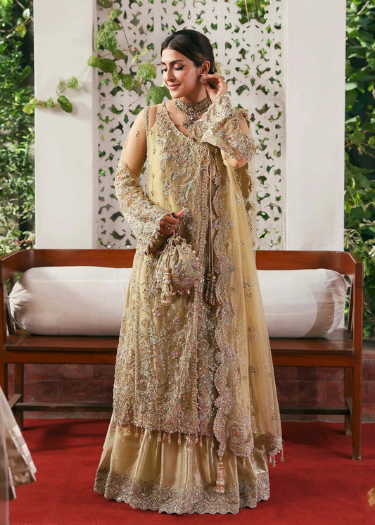 Elegant champagne beige suit with hand-embellished net panels, ornate borders, embroidered dupatta, and trouser for timeless festive sophistication.