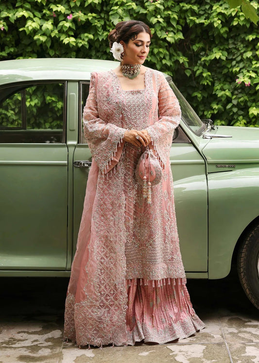 Ethereal blush rose suit with hand-embellished organza panels, ornate borders, and embroidered dupatta. A timeless choice for festive elegance.