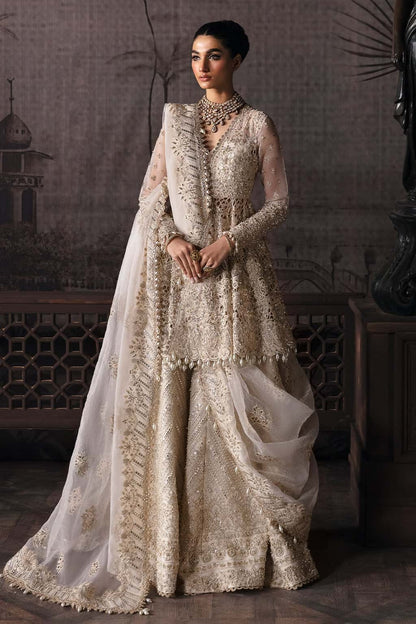 Luxurious organza suit featuring hand-embellished panels, embroidered dupatta, and raw silk trouser — perfect for festive and formal occasions.