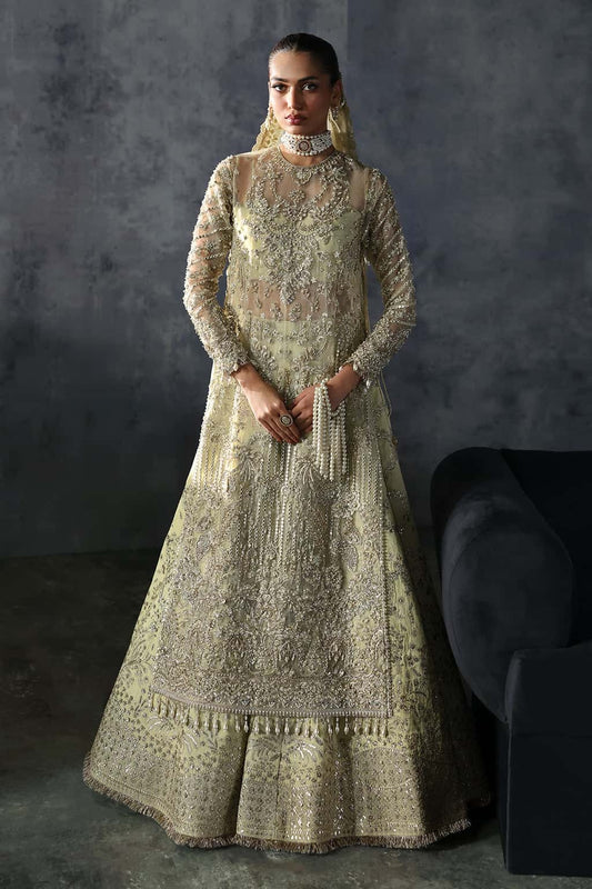 Luxurious organza suit with hand-embellished embroidery, ornate dupatta borders, and embroidered raw silk trouser — perfect for festive elegance.
