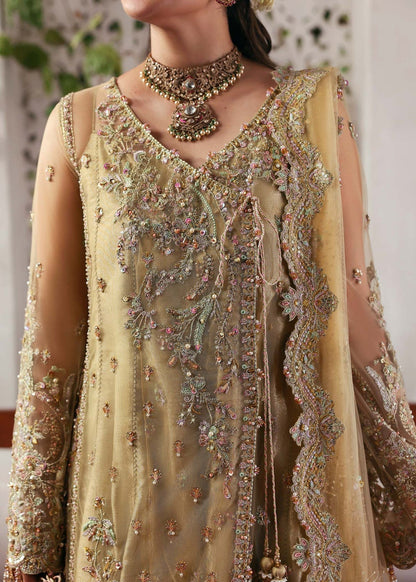 Elegant champagne beige suit with hand-embellished net panels, ornate borders, embroidered dupatta, and trouser for timeless festive sophistication.