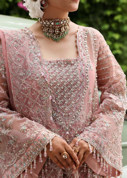 Ethereal blush rose suit with hand-embellished organza panels, ornate borders, and embroidered dupatta. A timeless choice for festive elegance.